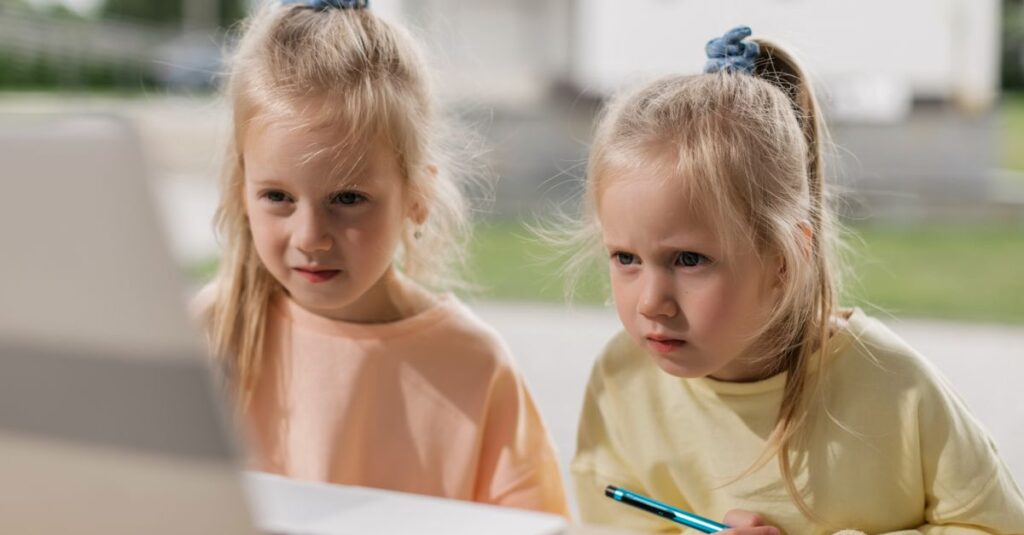 双子が共有して使っている学用品の例